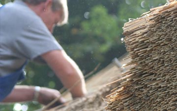 professional Briscoe thatchers